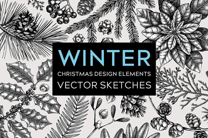 Winter plant vector sketches. Christmas design elements collection.